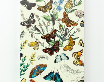 Butterfly Yearly Planner | Recycled Notebook, Biology Gifts, Course Planner, Moth Print