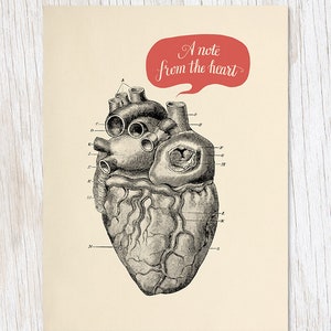 A Note From The Heart Love Card | Human Biology Gift, Biology Gifts, Professor Gift, Anatomical Heart Print