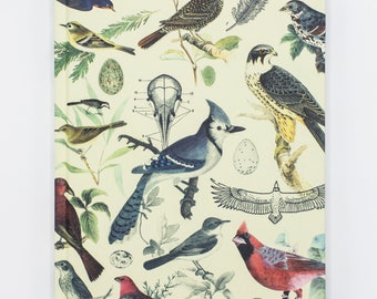 Ornithology: Birds Hardcover Notebook | Ecology, Bird Notebook, Botanical Print Journal, Science Print