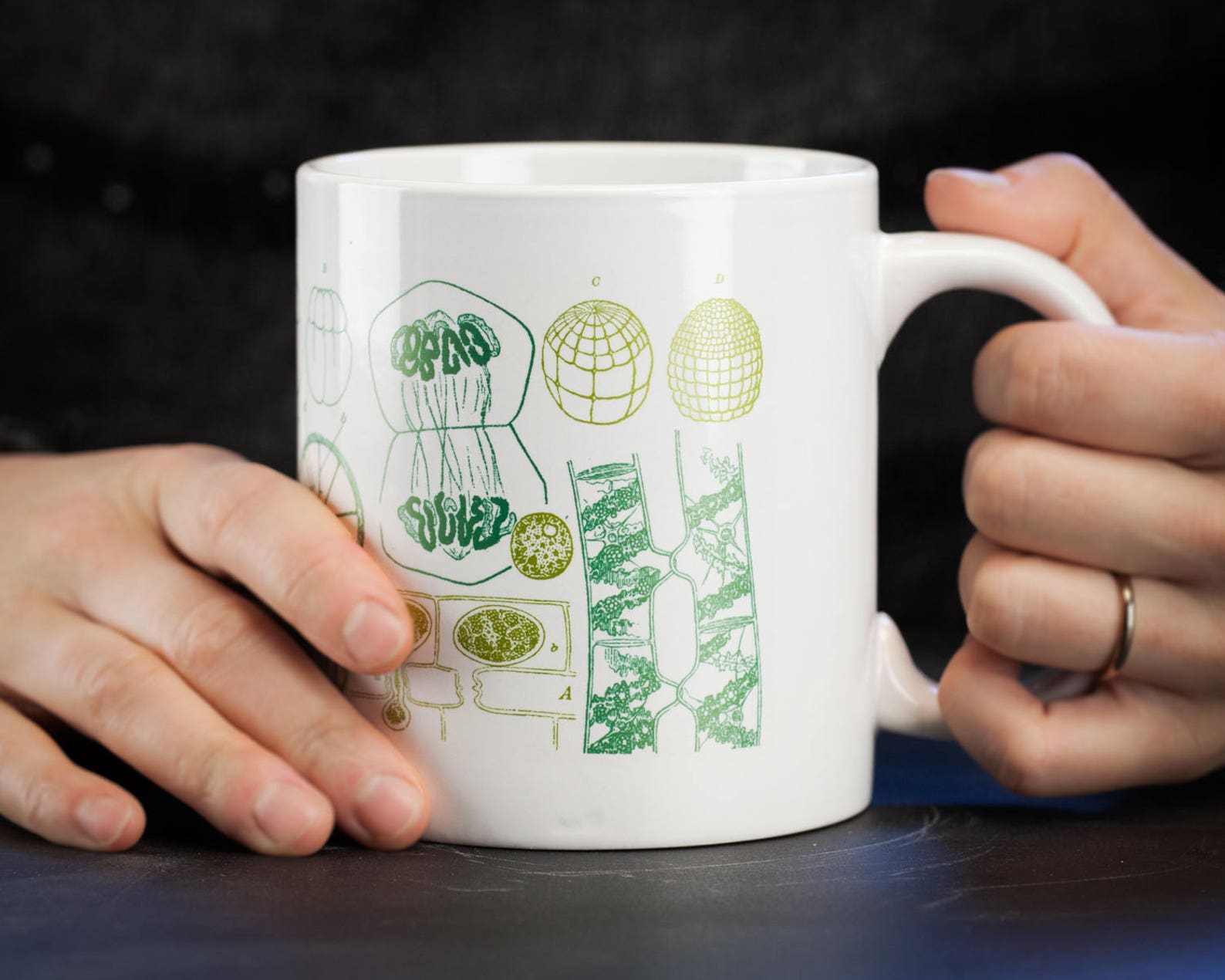 Биологические кружки. Биологического кружка. Биологического кружка. Биологические кружки. Биологического кружка.