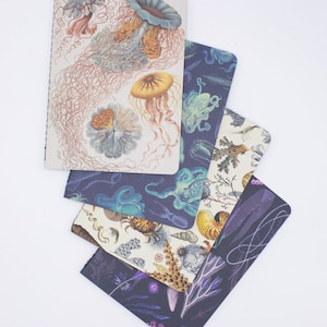 Ocean Pocket Notebooks Set of 4 | Marine Biology, Squid Print, Ecology