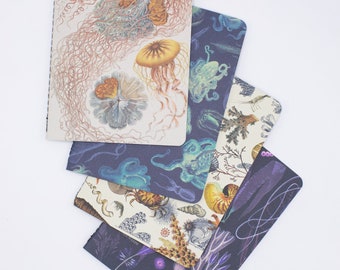 Ocean Pocket Notebooks Set of 4 | Marine Biology, Squid Print, Ecology