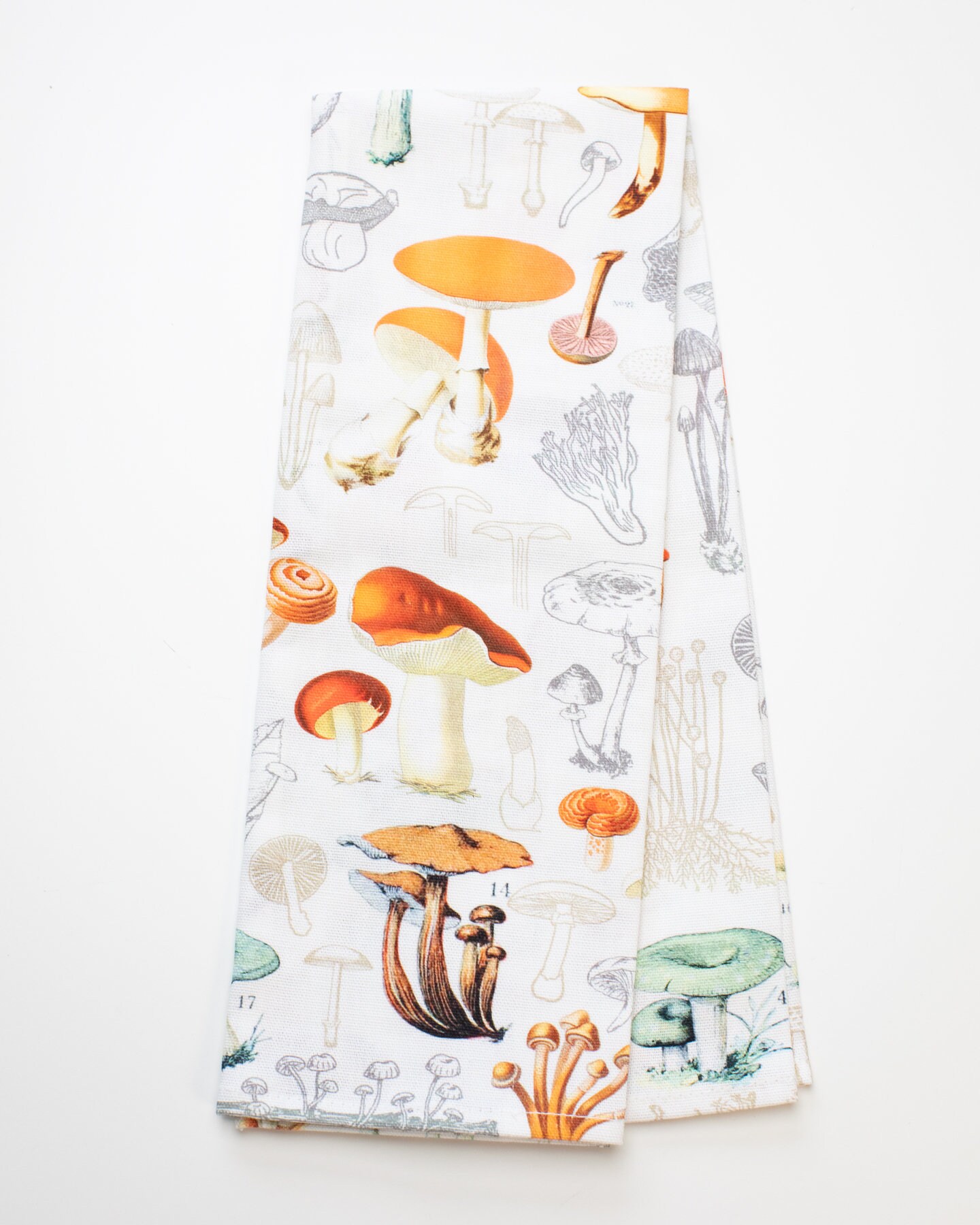 Fungi Tea Towel Mushroom Prints Mushroom Decor Morel Etsy