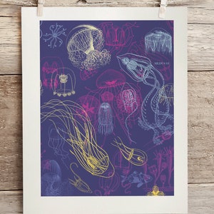 May include: A print featuring a detailed illustration of various jellyfish in shades of yellow, pink, and blue on a deep purple background. The word "MEDUSAE" is visible. The print is displayed on a white background.