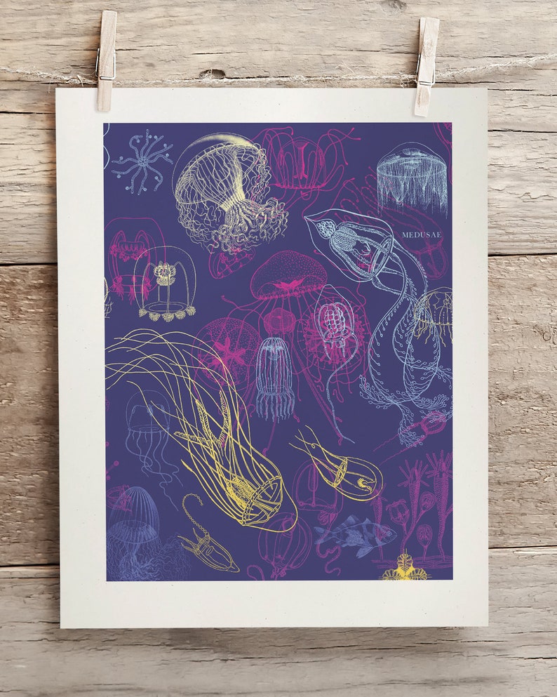 May include: A print featuring a detailed illustration of various jellyfish in shades of yellow, pink, and blue on a deep purple background. The word "MEDUSAE" is visible. The print is displayed on a white background.