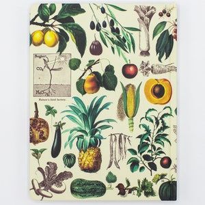 Obst & Gemüse Hardcover GartenTagebuch, Medizin Geschenk, Chemie Geschenk Bild 2