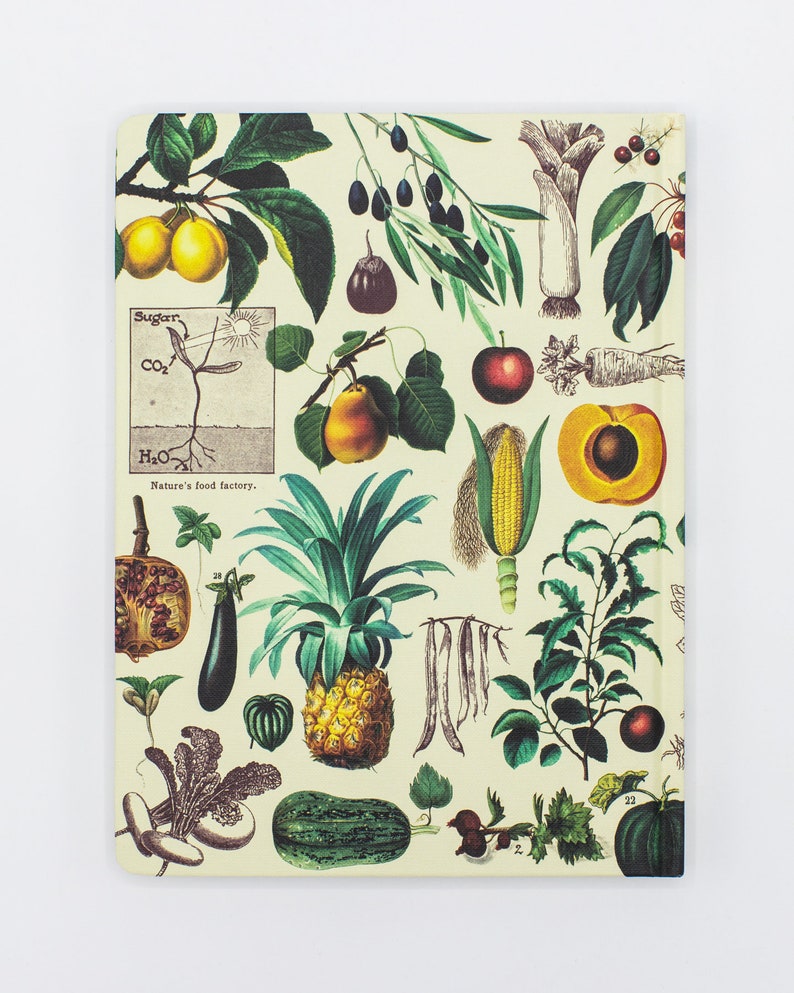 Obst & Gemüse Hardcover GartenTagebuch, Medizin Geschenk, Chemie Geschenk Bild 2