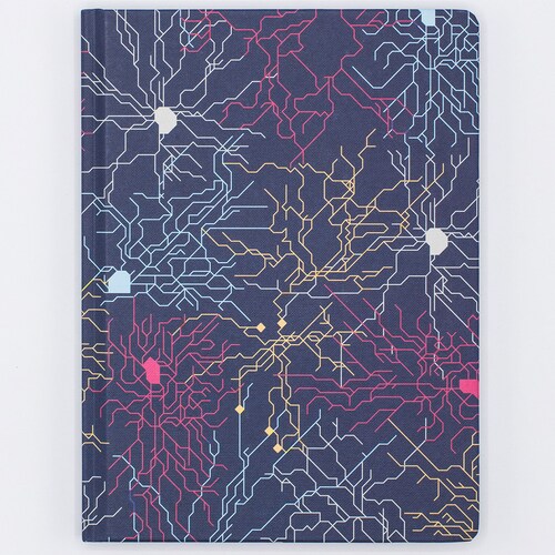 Brain Anatomy Hardcover Notebook Future Doctor Medical - Etsy