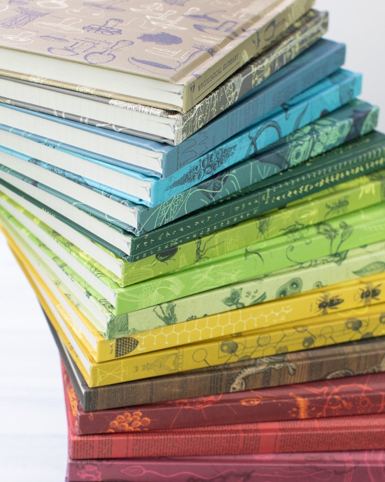 Puede incluir: Una pila de cuadernos coloridos con varios dise&ntilde;os de tem&aacute;tica natural, incluyendo insectos, plantas y patrones de panal. El cuaderno de arriba tiene el texto "Mythological Glossary" en el lomo.