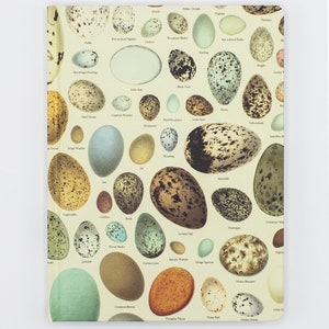 Eggs Hardcover - Hardcover | Veterinarian Gift, Animal Notebook, Recycled Notebook, Graph Paper Notebook, Egg Print