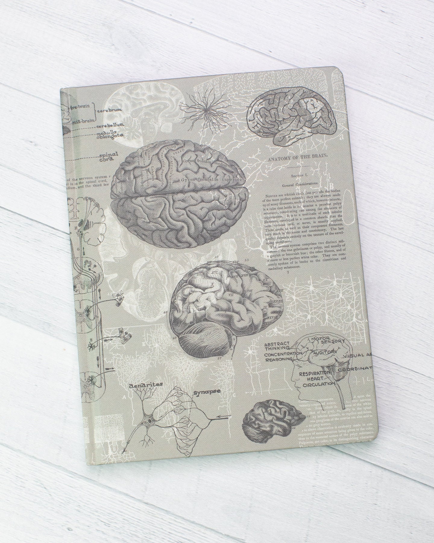 Brain Anatomy Hardcover Notebook Dot Grid Journal Graph | Etsy