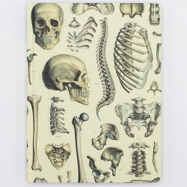 Skeleton Pl 2 Hardcover Notebook | Anatomy Illustration, Medical Gift, Pharmacist Gift, Orthopedic Surgeon, Mortician