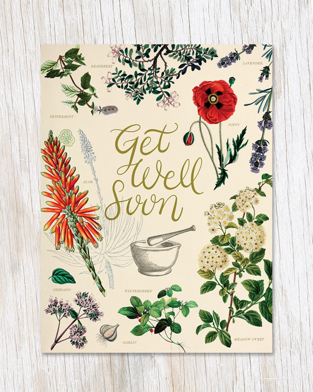Get Well Medicinal Botany Card Botanist Gift, Biology Gifts, Professor