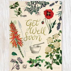 Get Well: Medicinal Botany Card | Botanist Gift, Biology Gifts, Professor Gift, Lavender Print, Poppy Print, Get well Soon