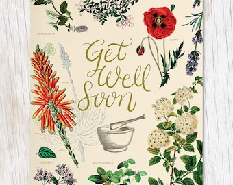 Get Well: Medicinal Botany Card | Botanist Gift, Biology Gifts, Professor Gift, Lavender Print, Poppy Print, Get well Soon