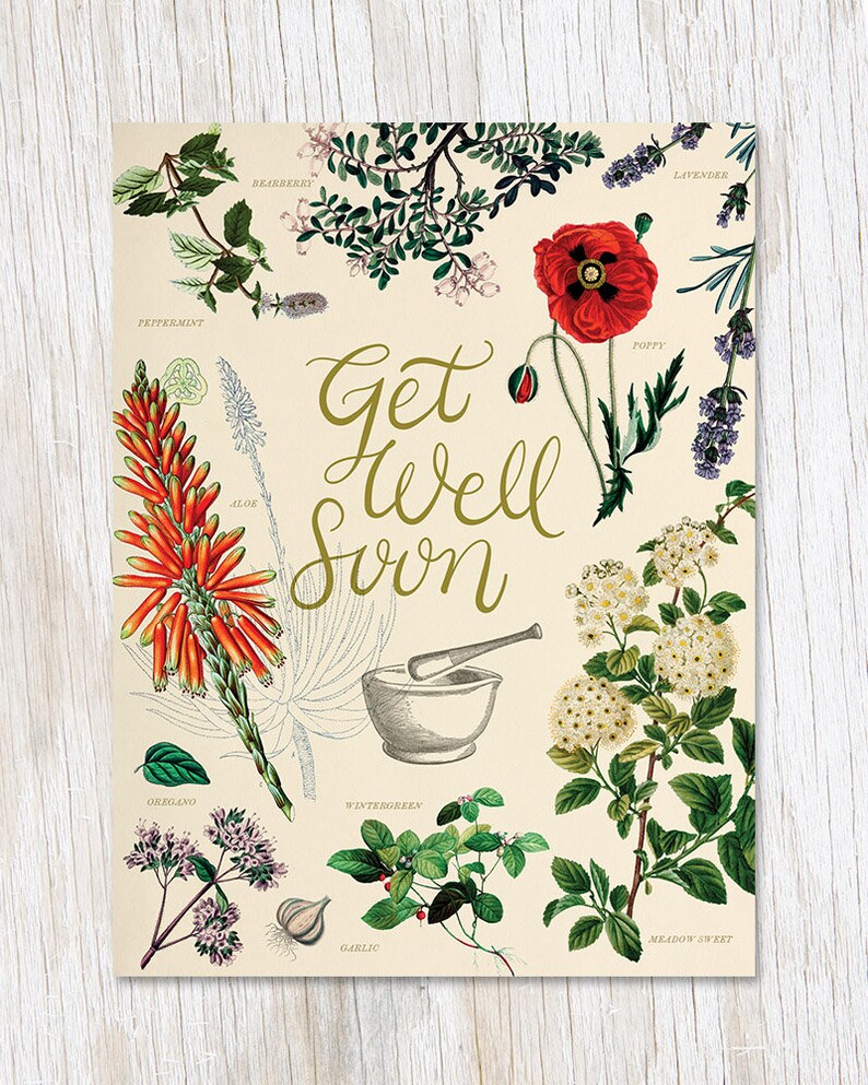 Get Well Medicinal Botany Card Botanist Gift Biology Etsy