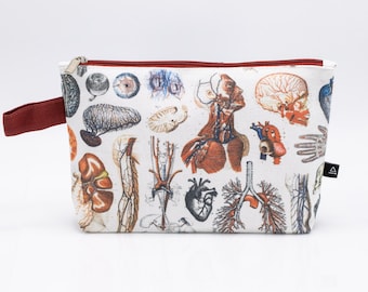 Anatomy Pencil Bag | Anatomy, Toiletry Bag, Makeup Bag, Travel Bag, Canvas Bag, Pencil Case, College Student Gift