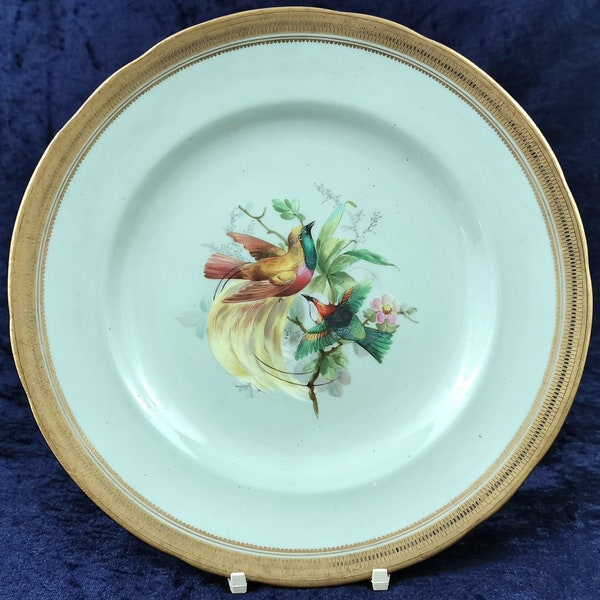 Striking Antique Plate, Collectors Plate, Dessert Plate, Exotic Birds, Birds of Paradise, Light Green, Gold Trim, Victorian Table, Tropical