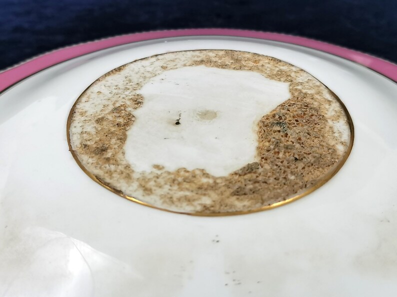 Compote Top Antique Cabinet Plate Decorative Antique Rare Camel Crest Camel Center 19th Century Pink and White Tazza Plate AT FAULT