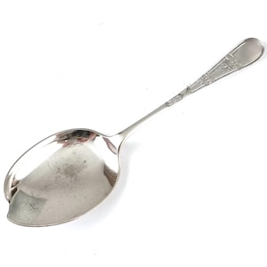 WORN Bowl, Antique Utensil, Serving Spoon, Shaped Bowl, Silver Plate, Daniel & Arter, Floral Flatware, 9 1/4 Inches Length, Victorian Spoon