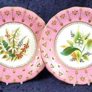 Op de afbeelding: Twee roze en witte porseleinen borden met gouden rand en bloemmotieven. De borden hebben een roze achtergrond met een witte middelcirkel. De middelcirkel heeft een bloemmotief met groene bladeren en roze, witte en blauwe bloemen. De borden hebben een gouden rand en een gouden ontwerp rond de middelcirkel.