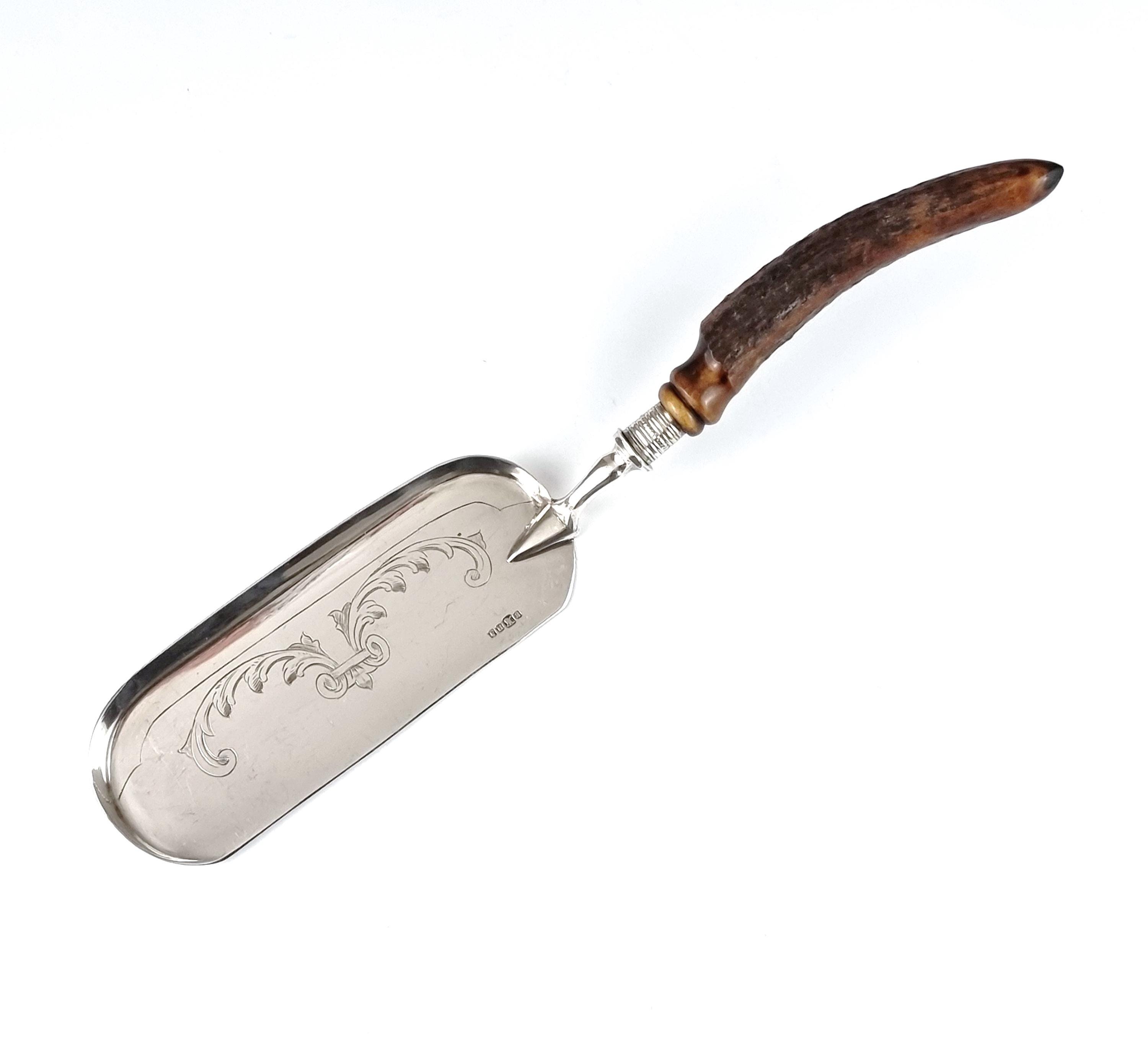 Antique Crumb Scoop, Crumb Tray, Silver Plate, Antler Handle
