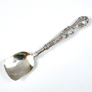 May include: A silver-toned metal spoon featuring a wide, square-shaped bowl and a decorative handle. The handle is adorned with intricate embossed floral and vine motifs, including small clusters of grapes, extending from the neck to the tip.