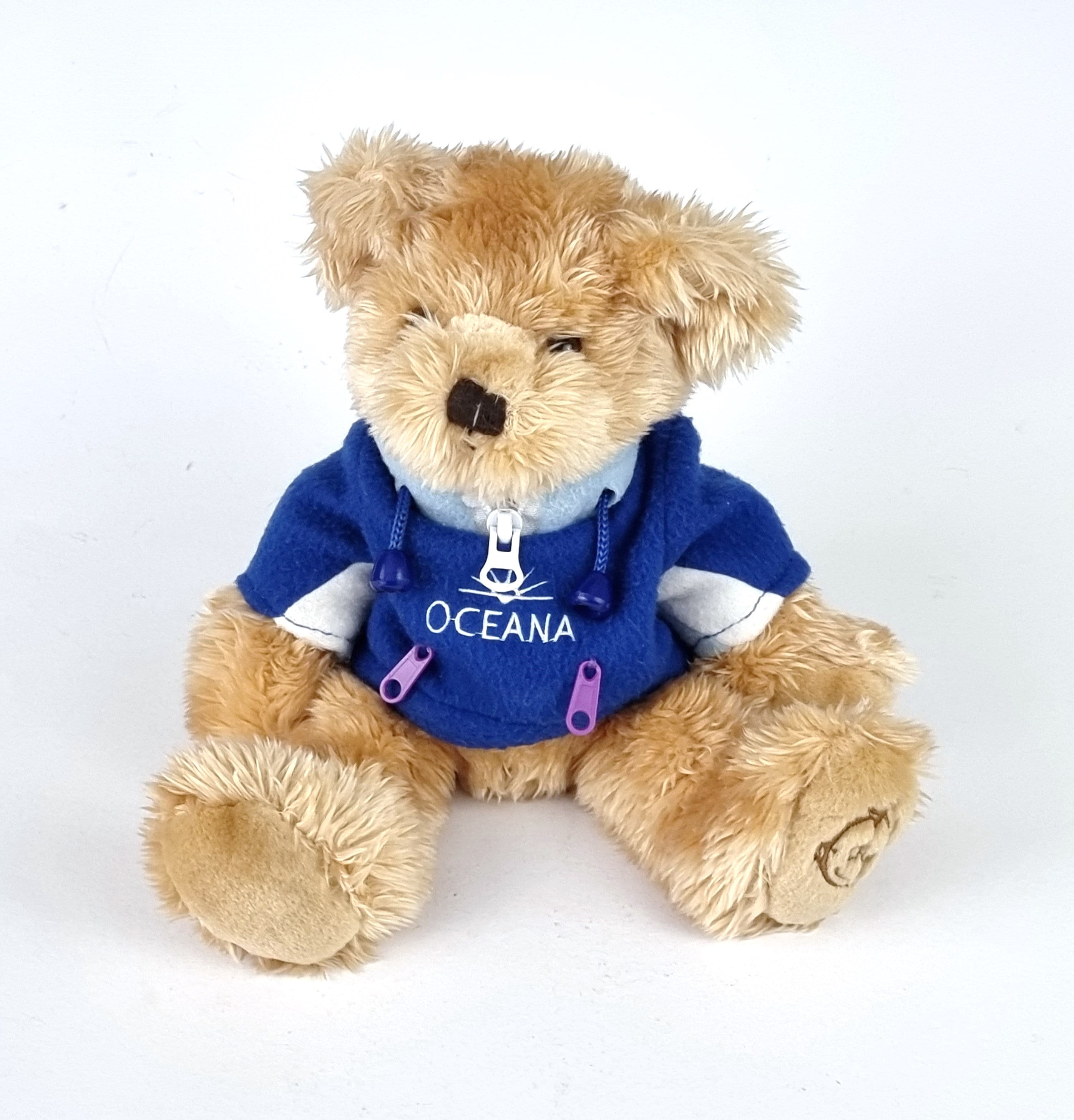Modern Teddy Bear, Oceana Cruise, Nautical Souvenir, 10 Inches