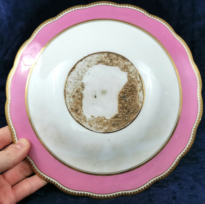 Compote Top Antique Cabinet Plate Decorative Antique Rare Camel Crest Camel Center 19th Century Pink and White Tazza Plate AT FAULT