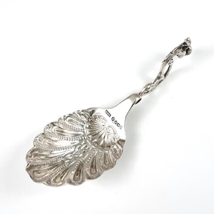 May include: A silver caddy spoon featuring a bowl shaped like a scallop shell with intricate embossed radiating lines and beaded details. The handle is cast in a textured, organic branch-like form. Hallmarks are visible on the neck of the spoon.