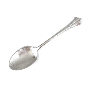 May include: A silver spoon with an ornate handle and a smooth, slightly textured bowl.