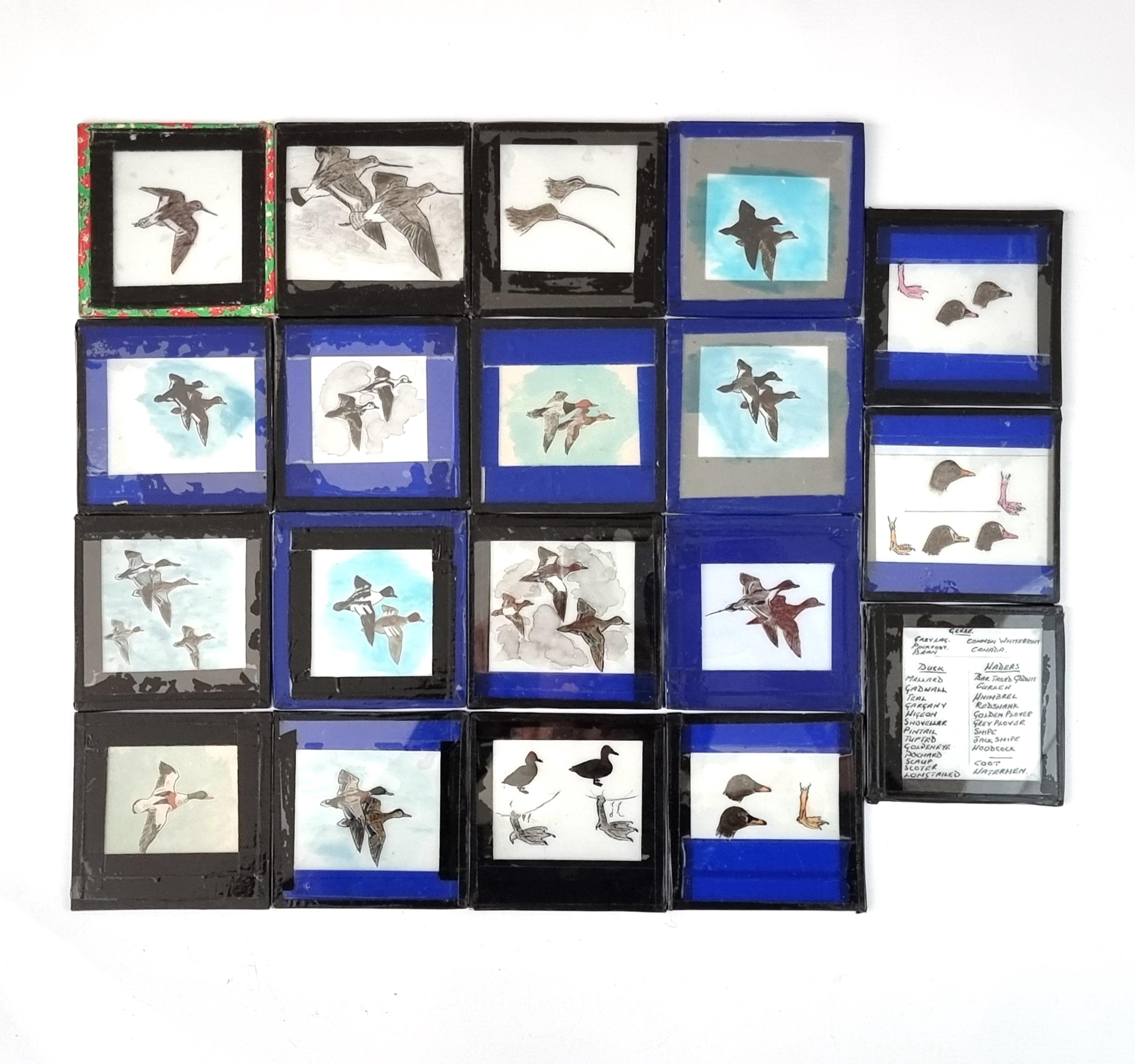 Part Set, Magic Lantern Slides, Hand Painted, Waterbirds Theme, Painted Birds, Ducks and Geese, Taped Edges, Ornithological Theme, Bird Set