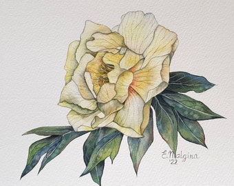 Yellow Peony flower watercolor painting for botanic lovers - Original fine art for home