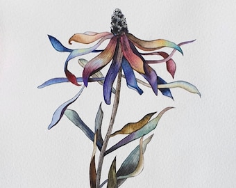 Leucadendron original watercolor painting in fantasy style - Contemporary botanical art decor - Florals drawings