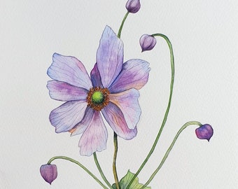 Purple anemone Eriocapitella hupehensis with buds - Original watercolor floral art decoration