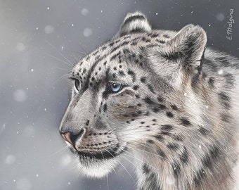 ORIGINAL snow leopard drawing - Soft pastel wild cat portrait - Realistic and detailed gift of art