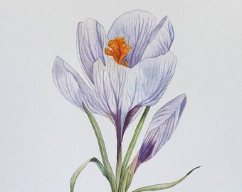 Crocus watercolor ORIGINAL artwork - Minimalist botanical painting - Floral gift for home and art lovers