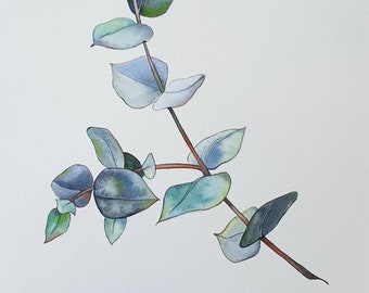 Eucalyptus branch watercolor painting - Original botanical artwork from Israel