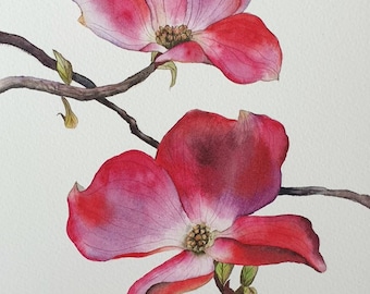 Bright pink and red dogwood tree flowers watercolor painting - Original unframed art