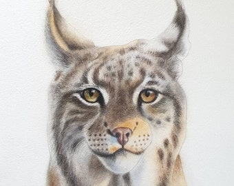 Watercolor LYNX painting for nature lovers - Wild cats artwork - Bobcat original art - Wall are with big cats - ORIGINAL drawing