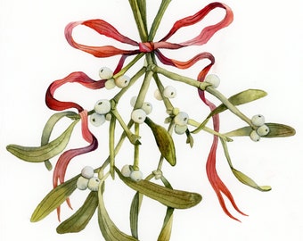 Christmas Mistletoe watercolor botanical painting for winter holidays. Original gift for nature lovers in red and green colors