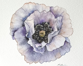 Watercolor fine art painting Purple Poppy - Original flower art for wall decor