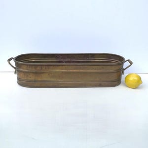 May include: A rectangular brass planter with two curved handles. The planter has a slightly aged appearance and is empty. A yellow lemon sits to the right of the planter.
