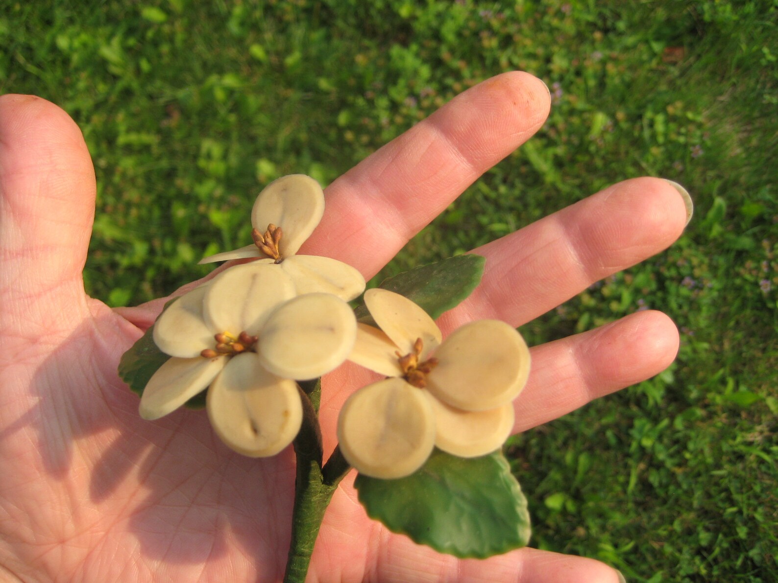 1910's Antique Wax Orange Blossom Bouquet Etsy