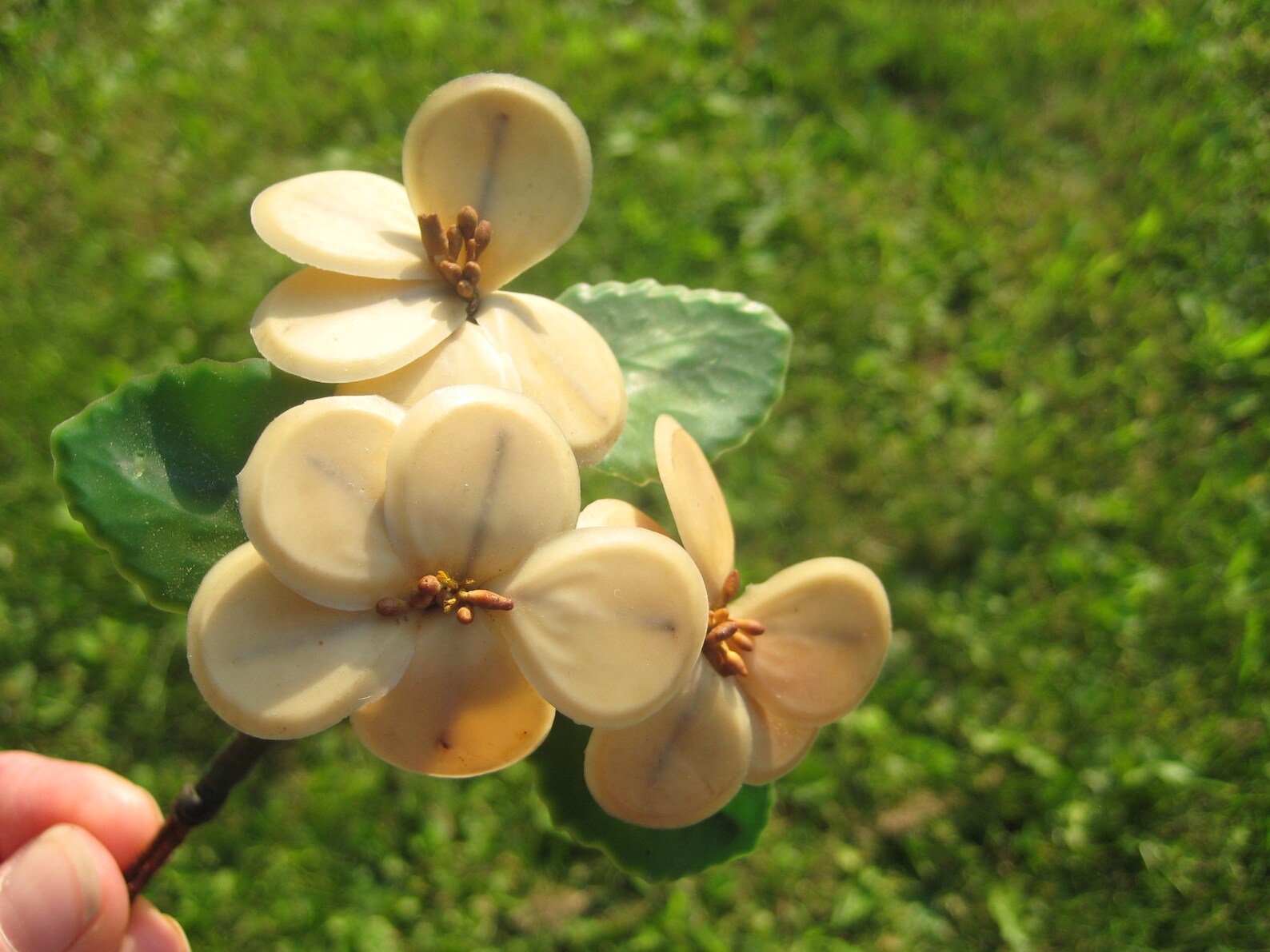 1910's Antique Wax Orange Blossom Bouquet Etsy