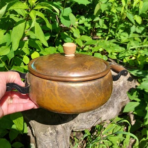 May include: A copper-colored pot with a lid and wooden knob. The pot has black handles and a hammered texture. The pot is held in front of a background of green foliage.