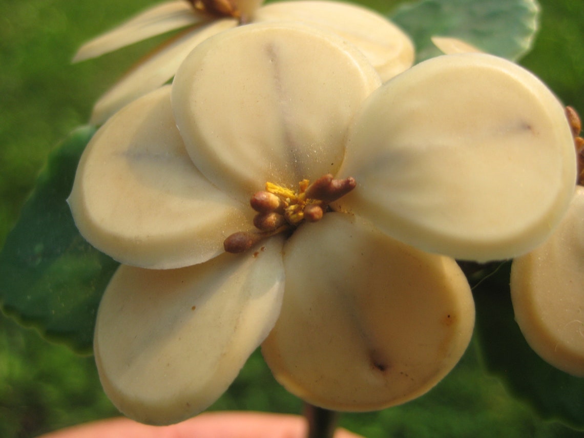 1910's Antique Wax Orange Blossom Bouquet Etsy