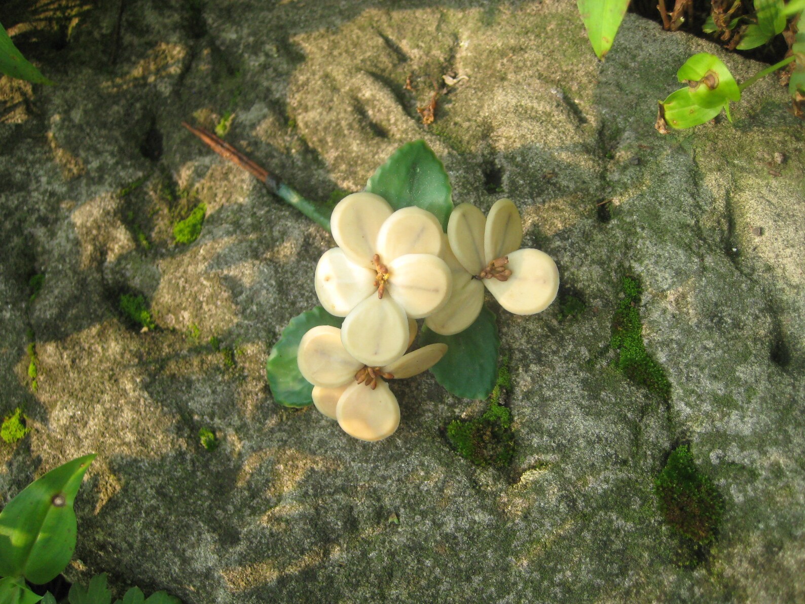 1910's Antique Wax Orange Blossom Bouquet Etsy