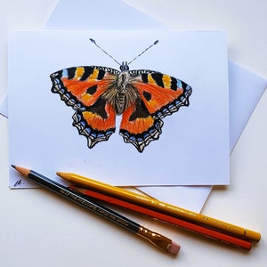 Tortoiseshell Butterfly, original hand drawn coloured pencil greetings card