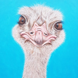 Ostrich, original acrylic painting on canvas